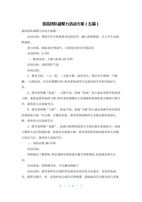 提高团队凝聚力活动方案（五篇）