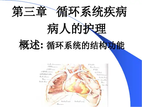 循环系统常见症状护理ppt课件
