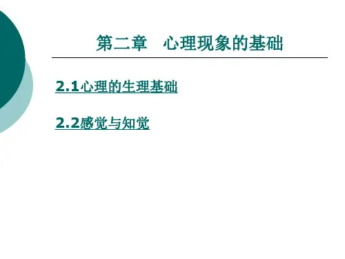 心理现象的基础