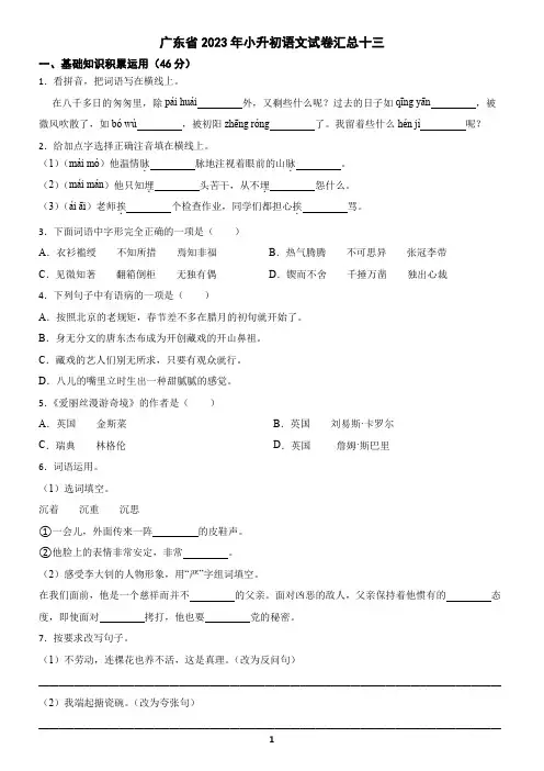 广东省2023年小升初语文试卷汇总十三(含答案)