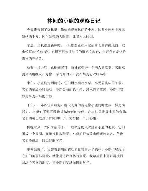 小学三年级作文林间的小鹿的观察日记