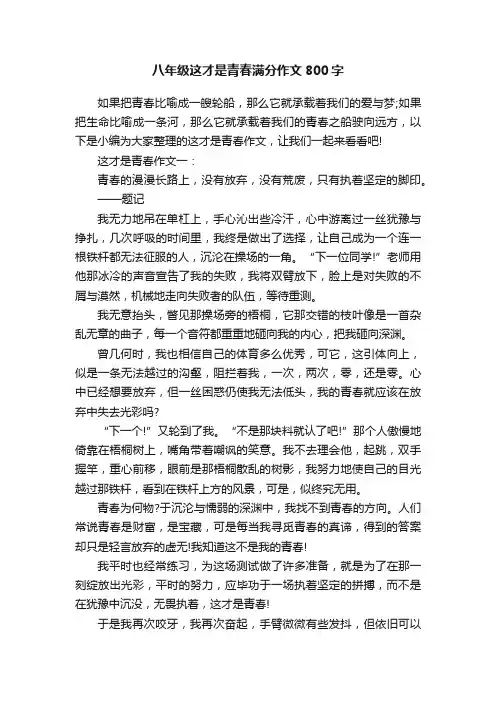 八年级这才是青春满分作文800字