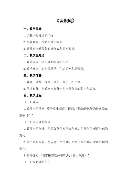 大班科学优秀教案《认识风》