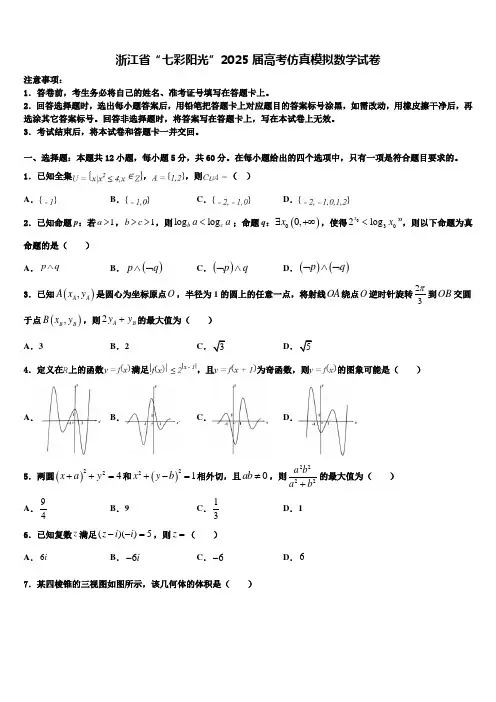 浙江省“七彩阳光”2025届高考仿真模拟数学试卷含解析