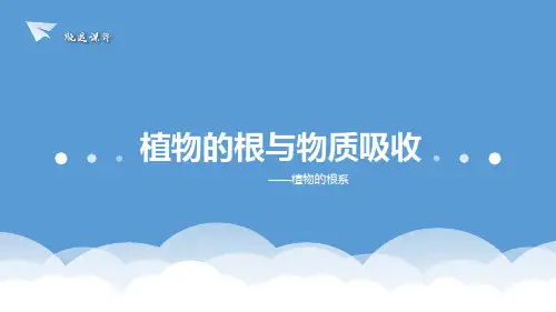八年级下《植物的根与物质吸收》ppt课件浙教版