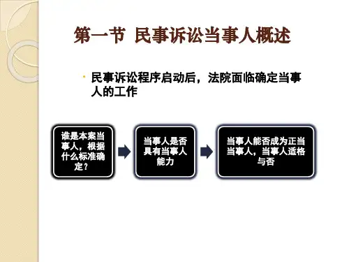 第五部分当事人原理教学课件