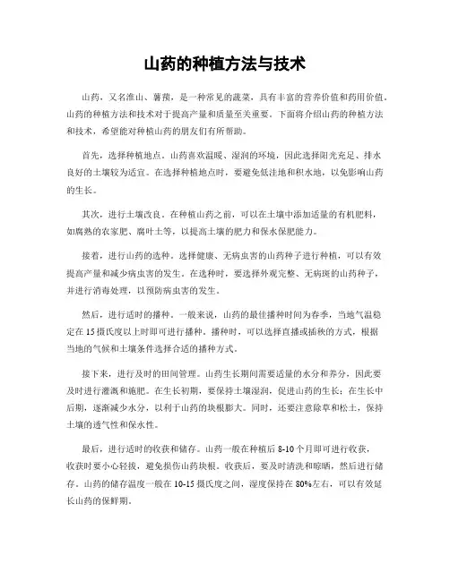 山药的种植方法与技术