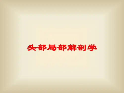 头部局部解剖学培训课件