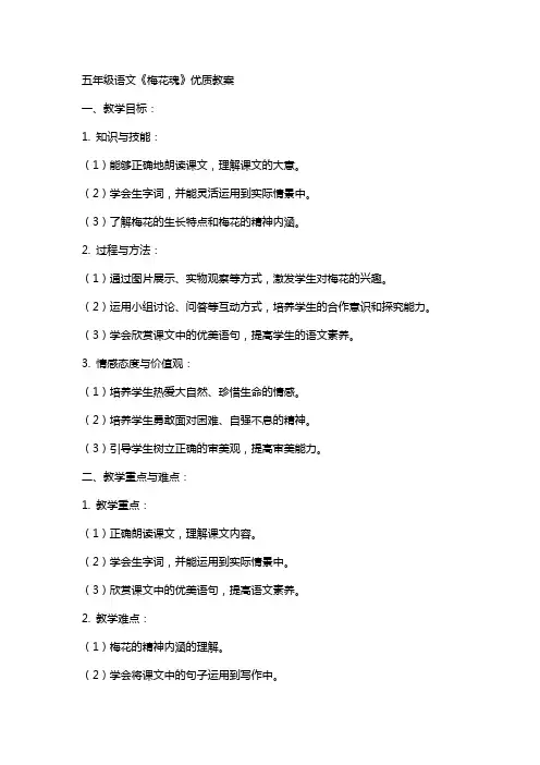 五年级语文《梅花魂》教案