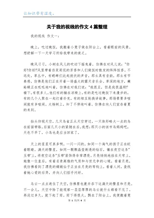 关于我的视线的作文4篇整理