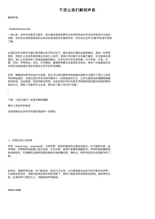 干货让我们解剖声音