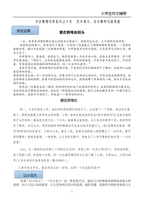 学会使用写作技巧之十五   以小见大,从小事中写出深意