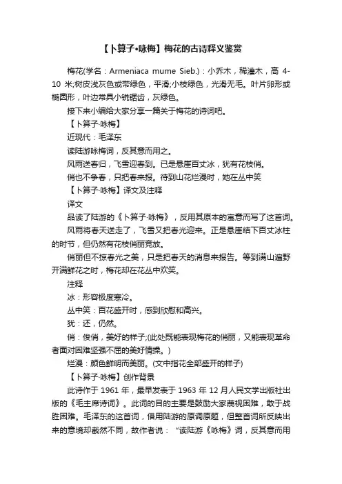【卜算子·咏梅】梅花的古诗释义鉴赏