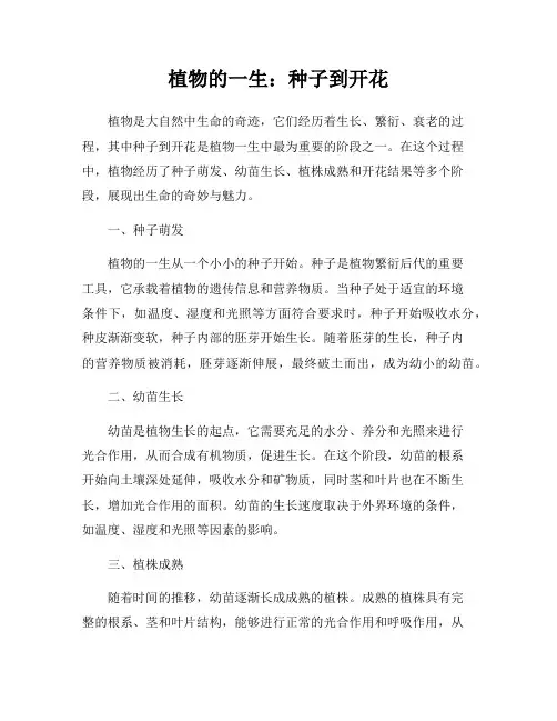植物的一生：种子到开花
