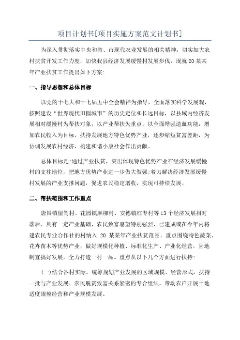 项目计划书[项目实施方案范文计划书]