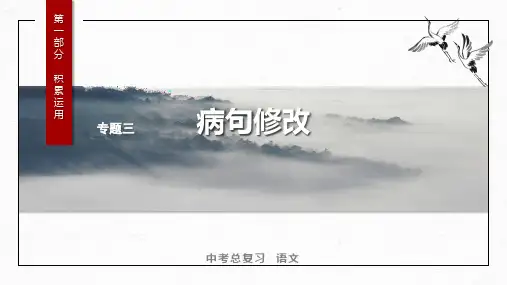 2024年中考语文一轮总复习：《病句修改》课件