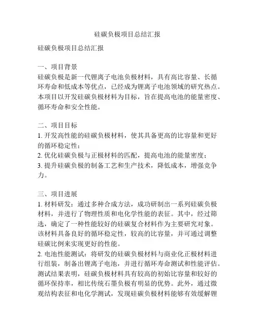 硅碳负极项目总结汇报