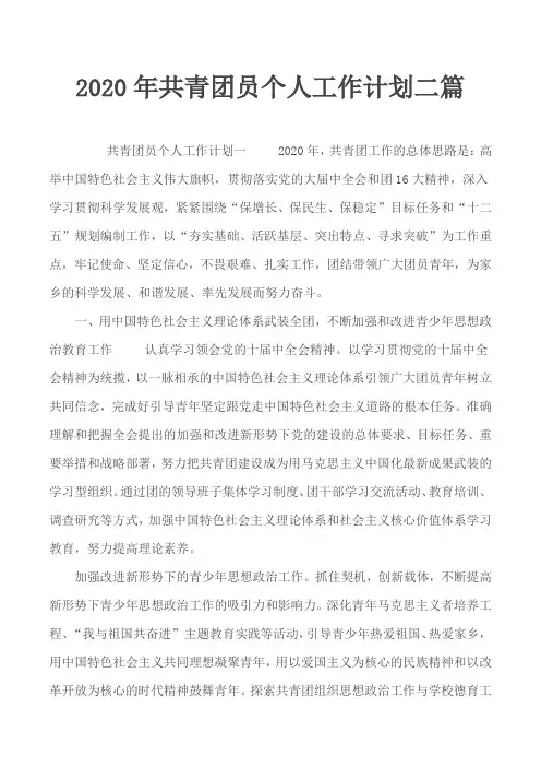 2020年共青团员个人工作计划二篇