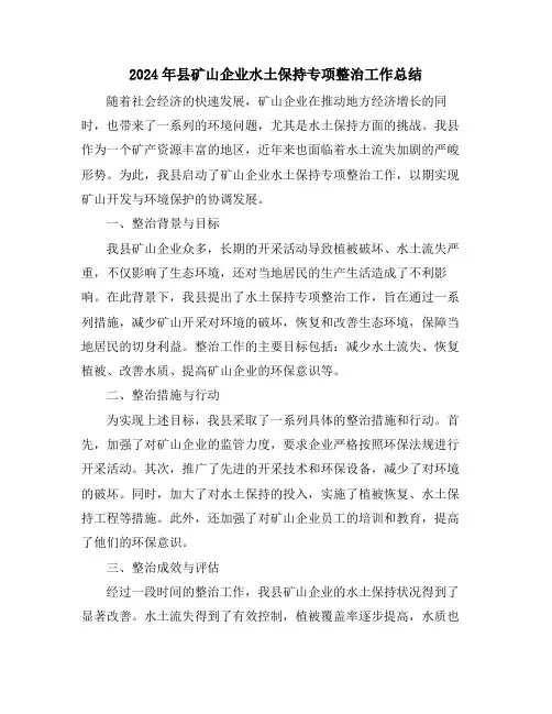 2024年县矿山企业水土保持专项整治工作总结