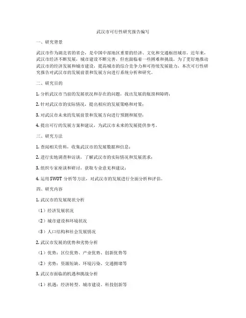 武汉市可行性研究报告编写