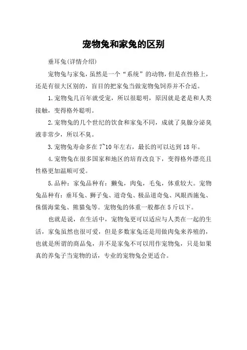 宠物兔和家兔的区别