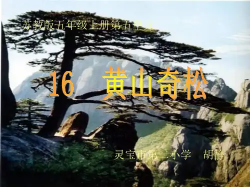 五年级上册16黄山奇松苏教版-10页精选文档