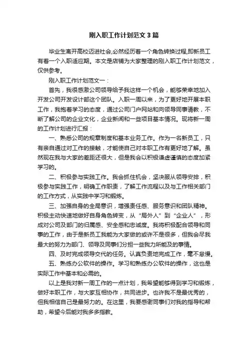 刚入职工作计划范文3篇
