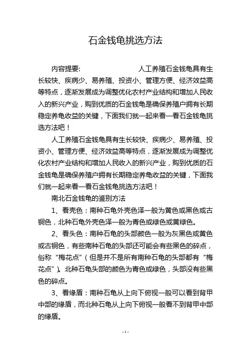 石金钱龟挑选方法
