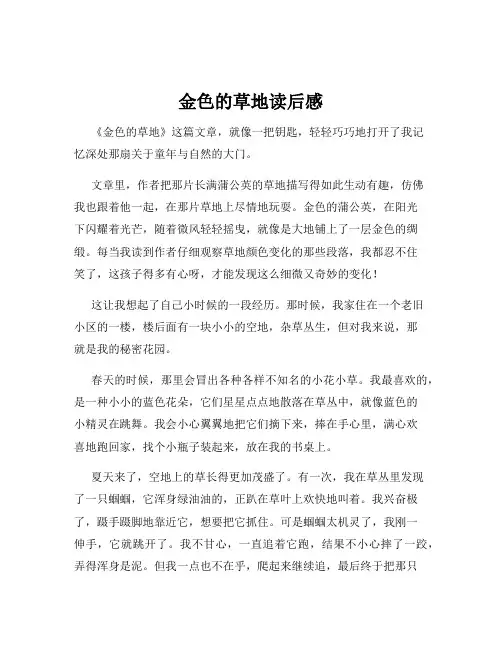 金色的草地读后感