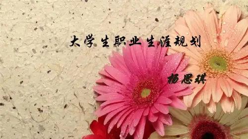 我的大学生职业生涯规划ppt演示版.ppt
