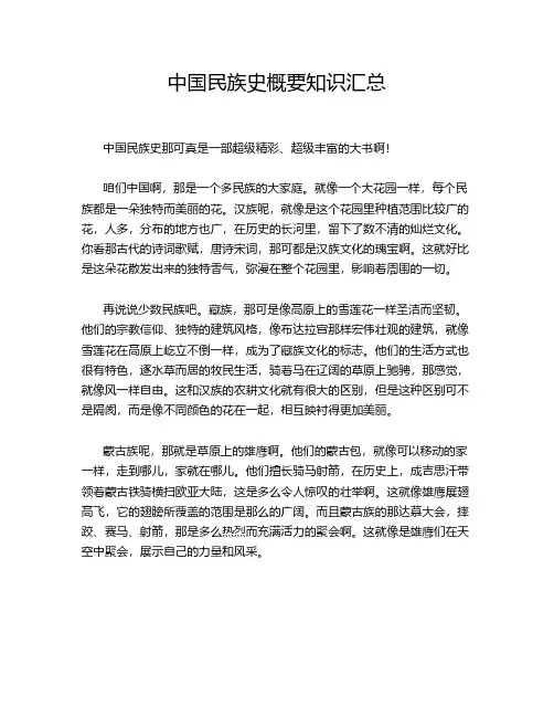 中国民族史概要知识汇总