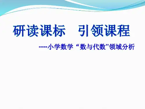 小学数学“数与代数”领域分析
