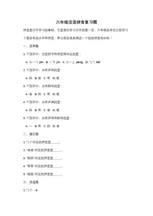 六年级汉语拼音复习题