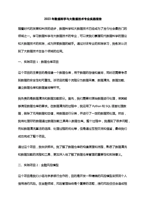 2023年数据科学与大数据技术专业实践报告