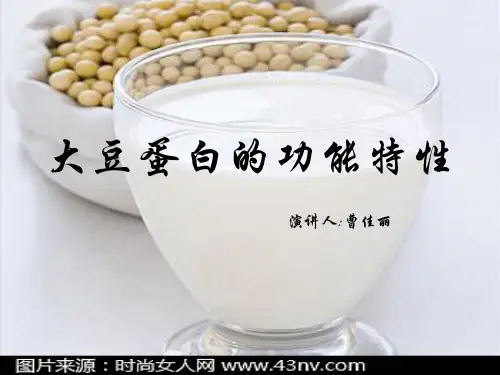 大豆蛋白