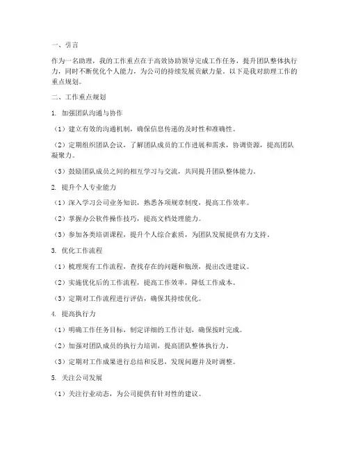 助理重点工作规划