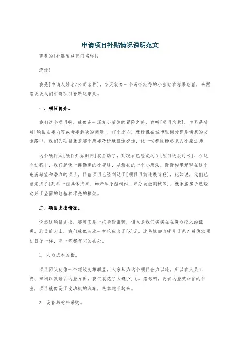 申请项目补贴情况说明范文