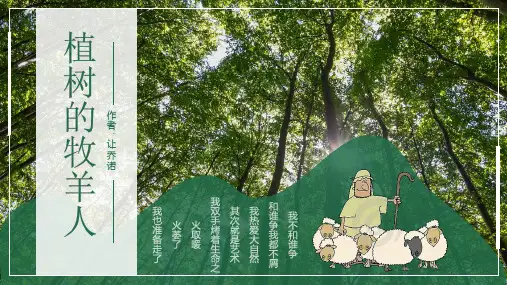 第13课《植树的牧羊人》课件(共20张ppt).ppt