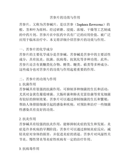 苦参片的功效与作用