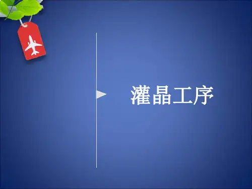 灌晶工序