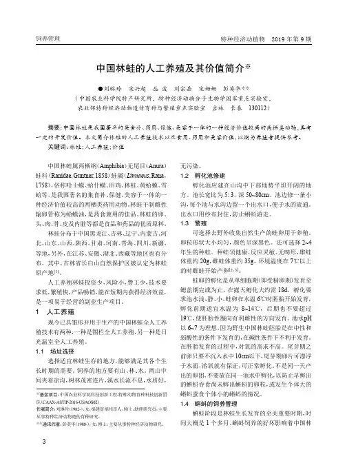 中国林蛙的人工养殖及其价值简介