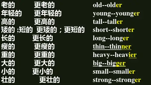 人教PEP版期末复习六年级下册英语各单元总结课件