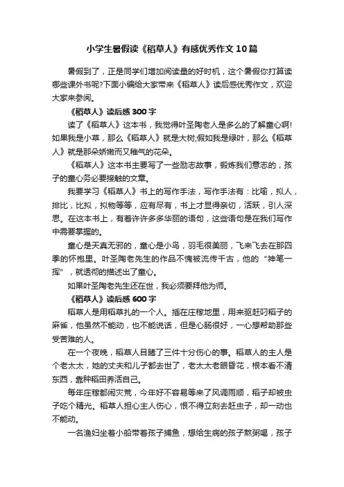 小学生暑假读《稻草人》有感优秀作文10篇