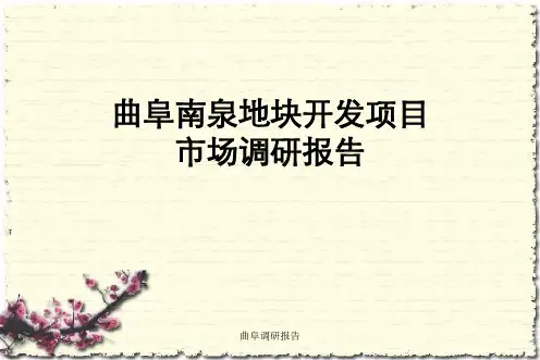 曲阜调研报告