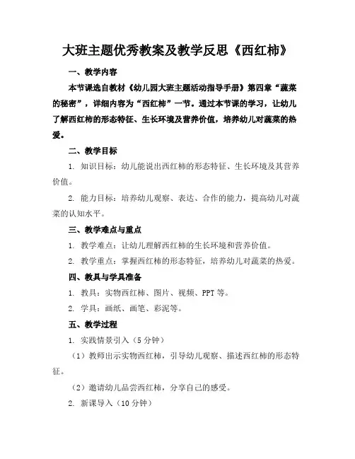 大班主题优秀教案及教学反思《西红柿》