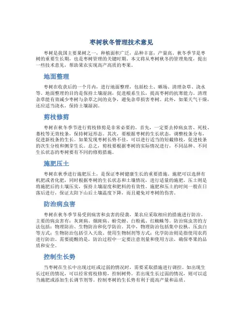枣树秋冬管理技术意见