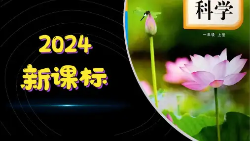 (2024)科学教科版一年级上册-5 植物的变化 精品课件PPT