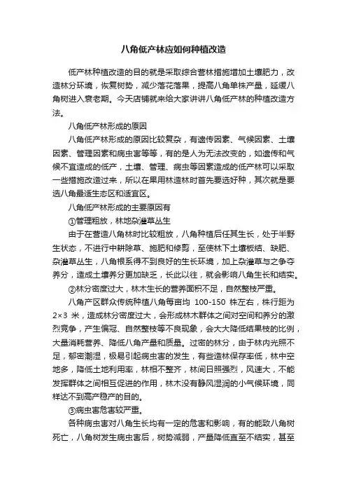 八角低产林应如何种植改造