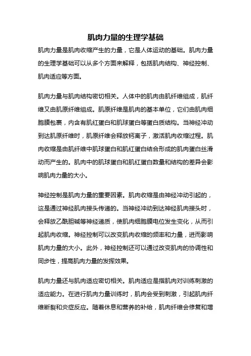 肌肉力量的生理学基础