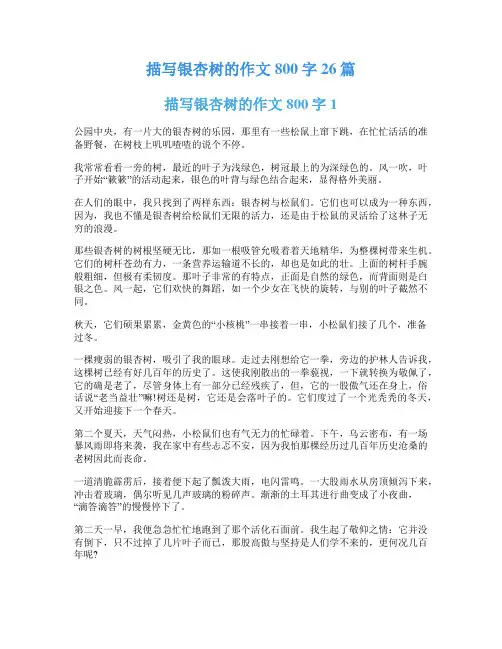 描写银杏树的作文800字26篇